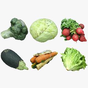 3D Vegetables Collection 03